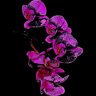 Junior's Design By Humans Orchid By Jirkasvetlik T-Shirt 1 Junior's Design By Humans Orchid By Jirkasvetlik T-Shirt