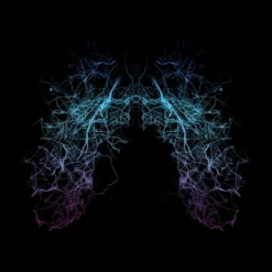 Junior's Design By Humans Veins By Designpro44 T-Shirt