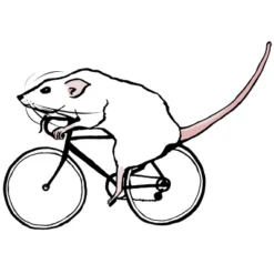 Junior's Design By Humans Cycling Rat By TeaandInk T-Shirt