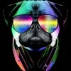 Men's Design By Humans Rainbow Disco Pug By Clingcling Tank Top