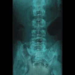 Women's Design By Humans Music In My Bones By YehWhatever Racerback Tank Top