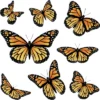 Junior's Design By Humans Monarch Butterfly By AnnArtshock T-Shirt