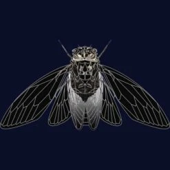Junior's Design By Humans Monochrome Cicada By Realkey T-Shirt
