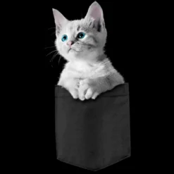 Junior's Design By Humans Pocket Kitten By Mitxeldotcom T-Shirt